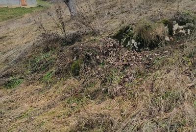 Casă în Măgura - 2