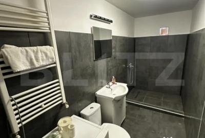 Apartament cu 2 camere decomandat, mobilat în Brazda lui Novac - 4