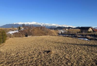 Teren Construcții intravilan de 3400 mp, în Șirnea - 2