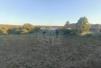 Teren de 3017 mp, în Plopu - 3