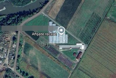Afacere de Vanzare/ Pepiniera Moderna cu Teren 2,37 Ha, Sg de Mures - 2