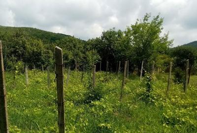 Casă cu 2 camere în Aninoasa - 7