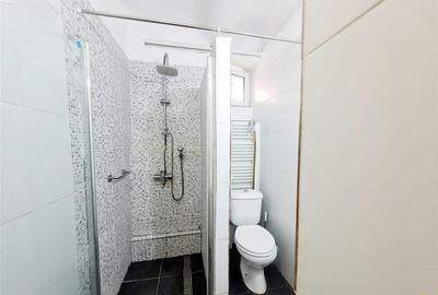 3D! Locatie decomandata,cu gradina, rezidential activitate p - 11