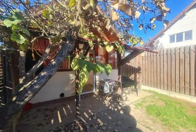 Doua casute tip A Frame, totul pe un teren de 300 mp, Ghimbav, Brasov - 13