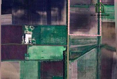 Spațiu comercial, în Central - 1