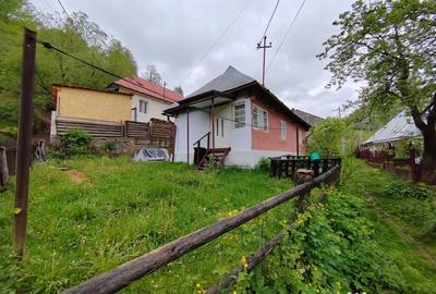 Casă cu 2 camere în Central - 2