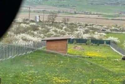 Teren de 2177 mp, în Crainimăt - 6