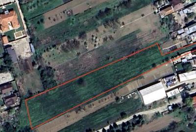 Teren de 6832 mp, în Cornetu