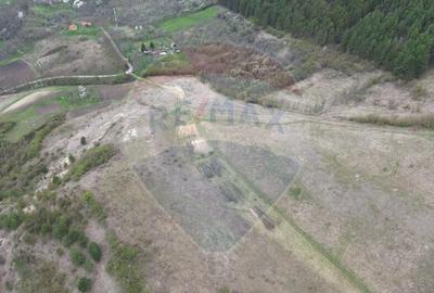 Teren de vanzare - 207.000 mp in Benesat, cu panorama ... - 4