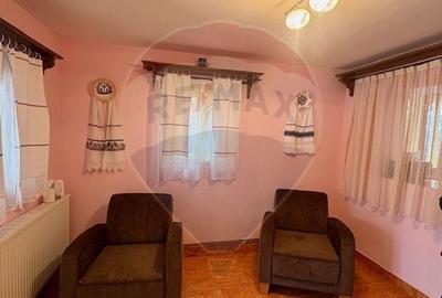 Doua case in stil maramuresean de vanzare in Breb/Maramures - 21