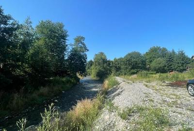 Spațiu comercial, în Moieciu - 11