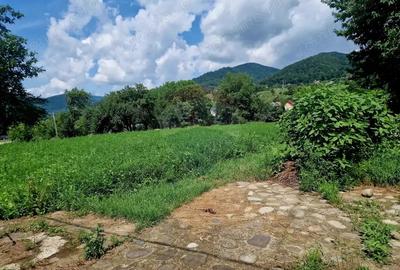 Teren intravilan 1000 mp Vii?oara, utilita?i - 7