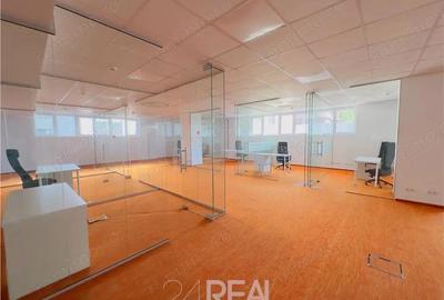 Spațiu comercial, de 441 mp, în Romană - 9