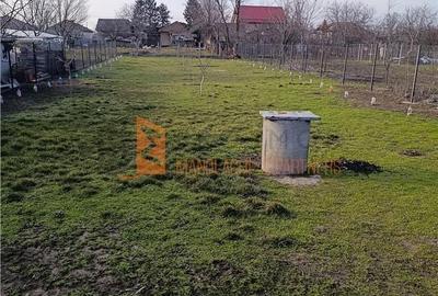 Casă cu 2 camere cu Teren 869 Mp în Vadu Pașii - 17