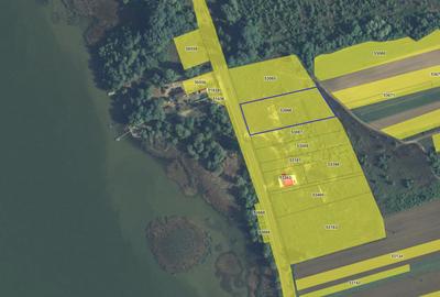 Teren Construcții intravilan de 6000 mp, în Hinova - 2