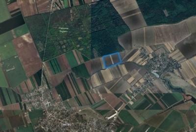 Dascalu Teren de vanzare in Ilfov, Gagu, deschidere 74ml, 20762mp - 1