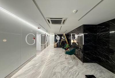 Birou, de 416.89999389648 mp, în Băneasa - 15