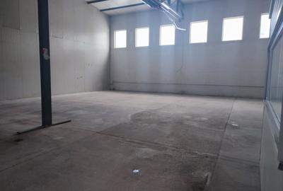 Hala industriala depozitare/productie, zona Grivitei-Dedeman, 230mp - 4