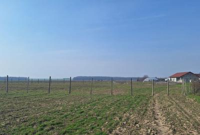 Teren Construcții intravilan de 6650 mp, în Bălăceanca - 6