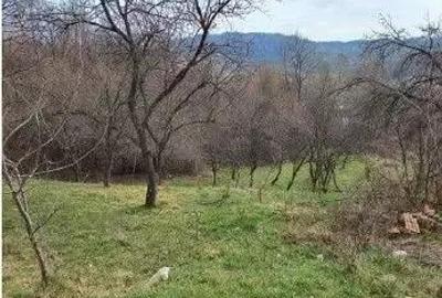 Teren Vulcana Bai, cota parte de 1/4, ID: R2583083 - 1