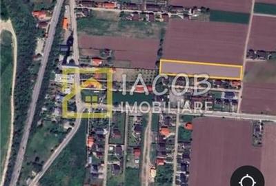 Teren Construcții intravilan de 3155 mp, în Bogdan Vodă - 3