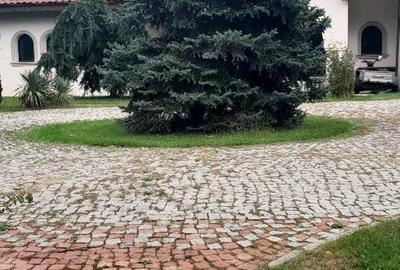 Domeniu  in Prahova- probabil una dintre cele mai frumoase reședințe - 5