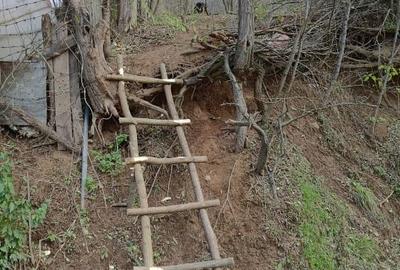Proprietar vând teren intravilan 1491 mp Băile Herculane (Pecinișca-Păstrăvărie) - 10