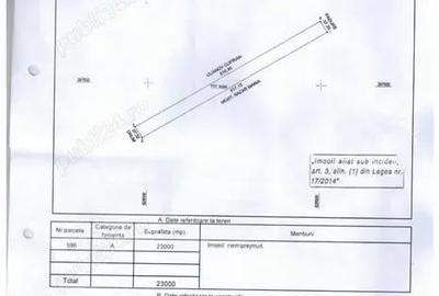 Teren de 23000 mp, în Dunavățu de Sus - 1