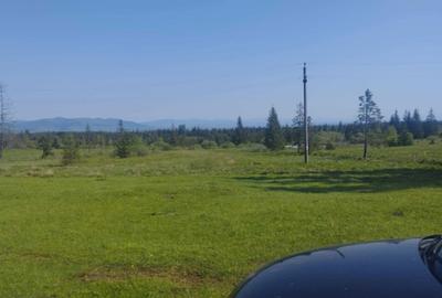 Teren de 1000 mp, în Beliș - 2