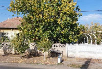 Vand casa com.Vadastra jud. Olt - 6