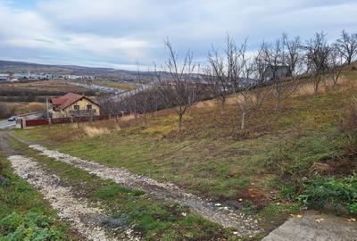 Spațiu comercial, în Dezmir - 1