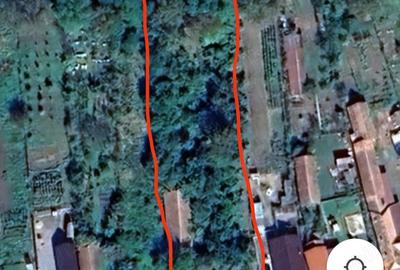 Casă cu 4 camere cu Teren 20024 Mp în Suplac - 4