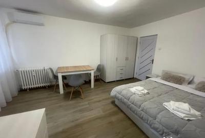 Garsonieră, mobilată în Brazda lui Novac - 2