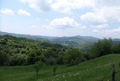 Casă cu 2 camere în Breaza - 5