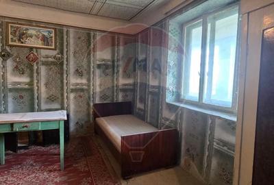 Casă individuală cu 3 camere cu Teren 7290 Mp în Socodor - 3