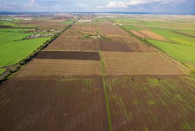 Vindem Teren intravilan ?oseaua Arad-Timi?oara | Destina?ie industriala 700 metri liniari - 3