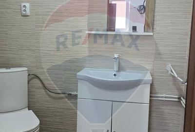 Casă cu 2 camere cu Teren 226 Mp în Laslea - 10