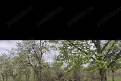 Casă cu 5 camere în Hodiș - 7