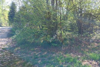 Teren intravilan 1300 mp de vanzare pe Valea Avrigului in zona Mlaci - 3