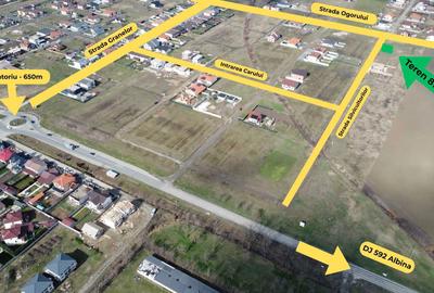 Spațiu comercial, în Moșnița Nouă - 4