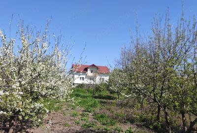 Casă cu Teren 4000 Mp în Moldoveni - 3