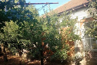 Casa de vanzare - Poroschia - 3