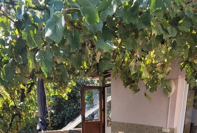 Etaj vila cu curte in sectorul 1. 2 camere. Aprox 60m. - 2