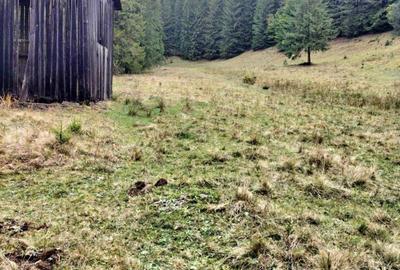 Teren de 34600 mp, în Cârlibaba - 5