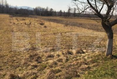 Teren de 4000 mp, în Central - 4