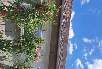 Casă cu 6 camere în Parța - 7