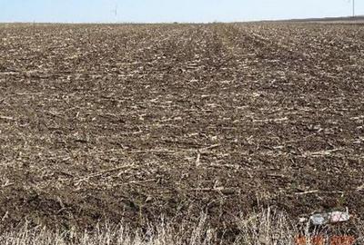 Teren extravilna Cota parte 1/16, CObadin, ID: R2782865 - 6