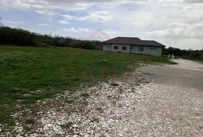 TEREN INTRAVILAN DE VANZARE,-520 mp,-CARANSEBE?\PIPIRIG... - 3
