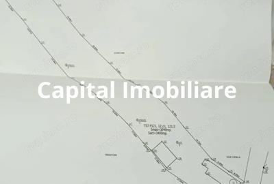 Casă cu 3 camere cu Teren 3040 Mp în Ceanu Mic - 5