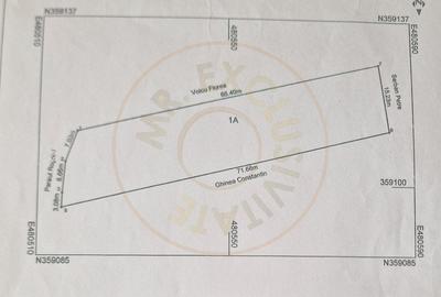 Teren intravilan comuna Sapata, Arges! - 2